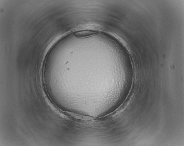 X0000072990949200608211512