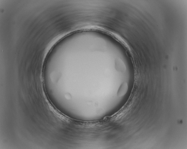 X0000072990951200608211512