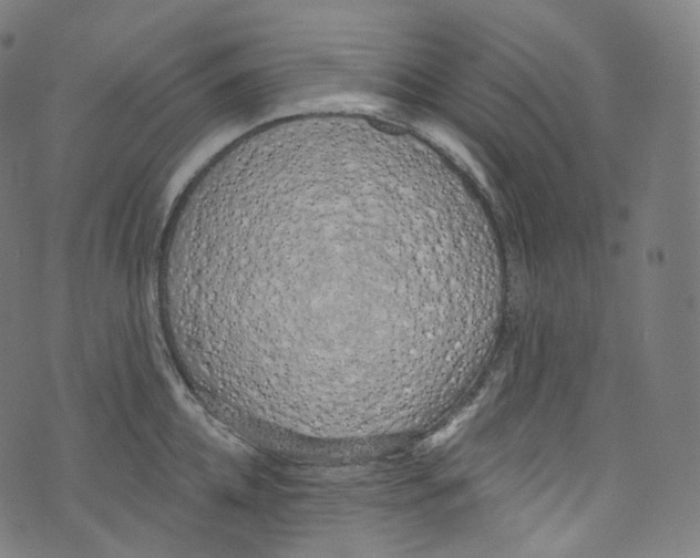 X0000072990952200608211512