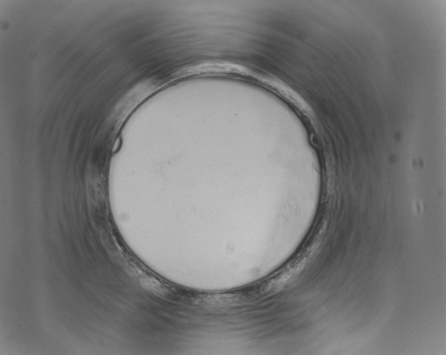 X0000072990953200608211512