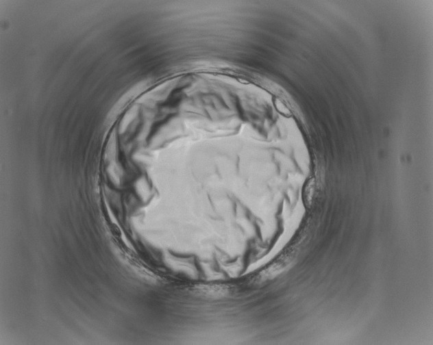 X0000072990954200608211512