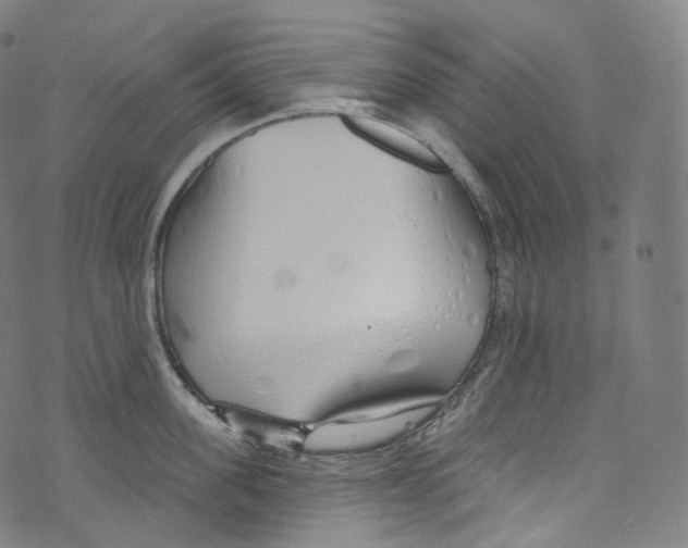 X0000072990955200608211512