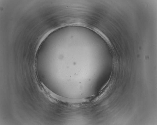 X0000072990956200608211512