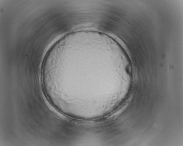 X0000072990957200608211512