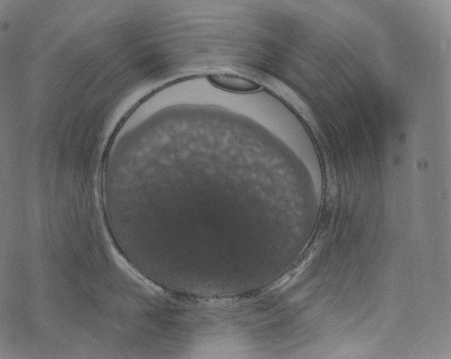 X0000072990958200608211512