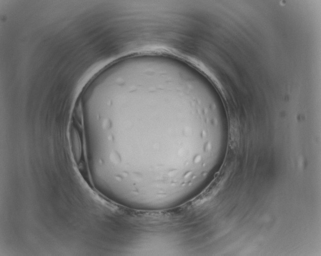 X0000072990959200608211512