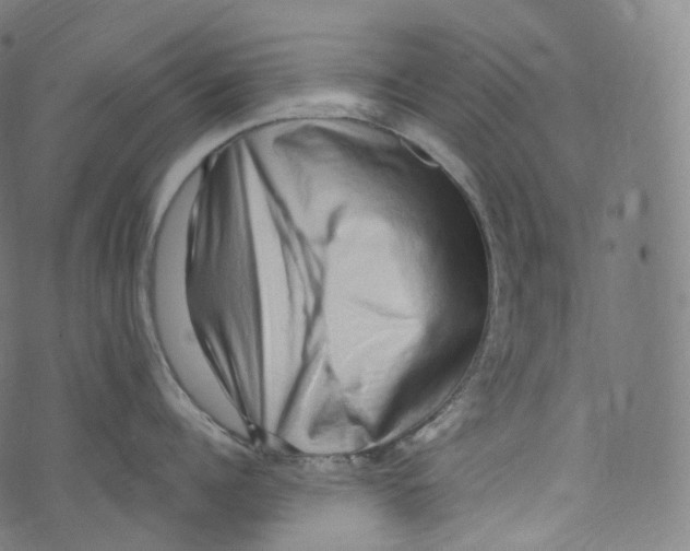 X0000072990960200608211512