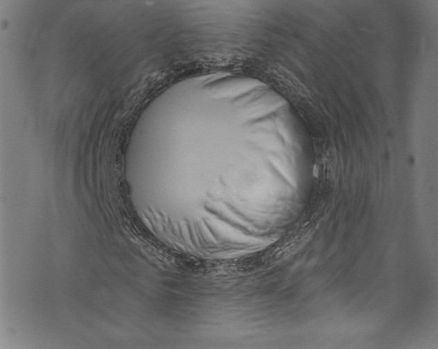 X0000072990961200608211512