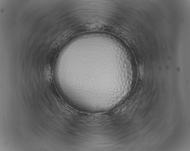 X0000072990963200608211512