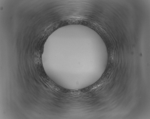 X0000072990964200608211512