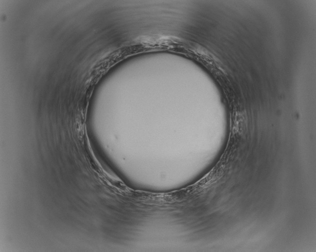 X0000072990966200608211512