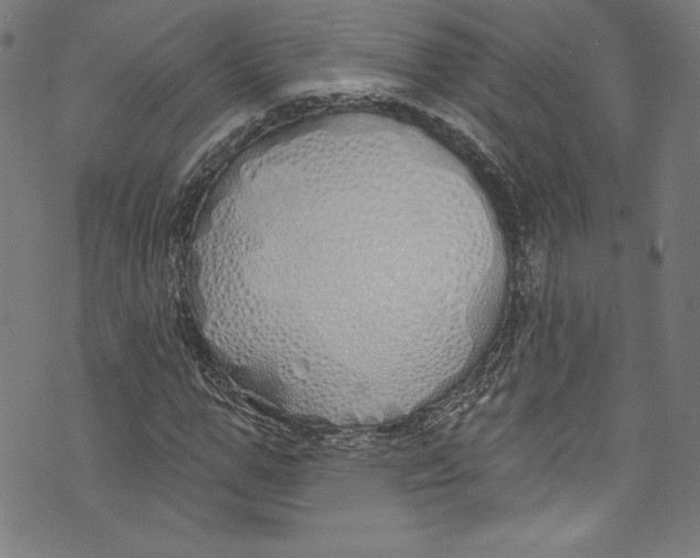 X0000072990967200608211512