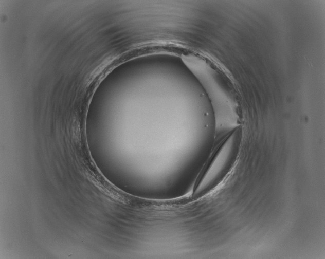 X0000072990969200608211512