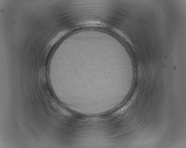 X0000072990970200608211511