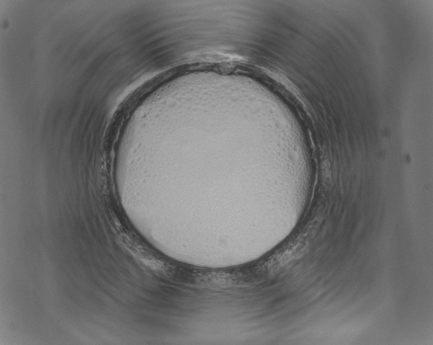 X0000072990971200608211511