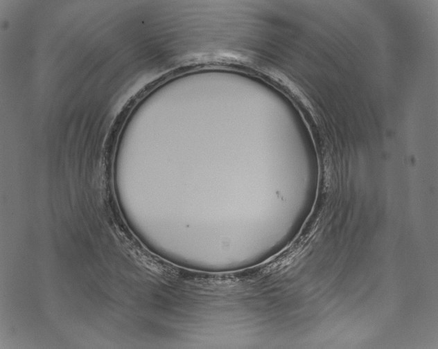 X0000072990975200608211511