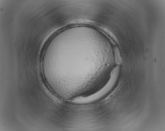 X0000072990976200608211511