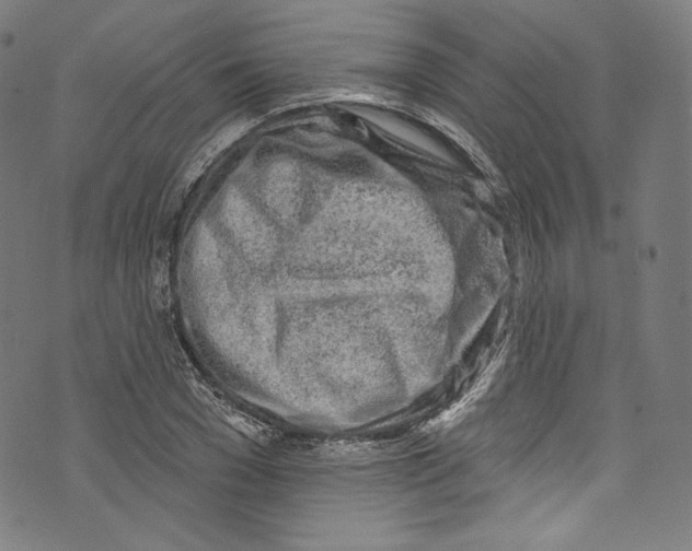 X0000072990977200608211511