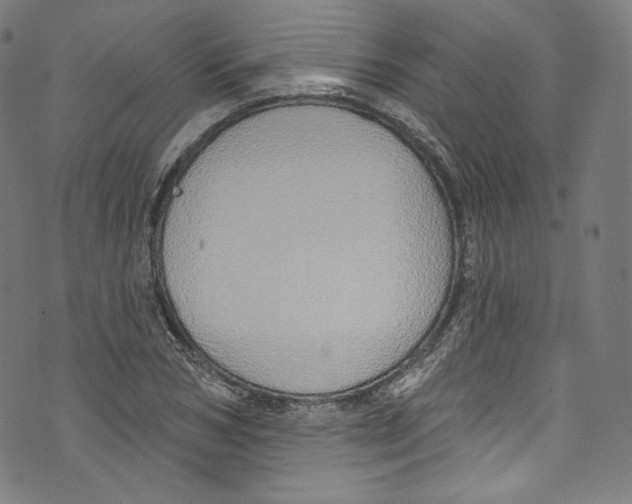 X0000072990978200608211511