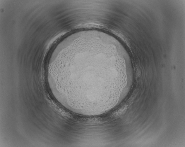 X0000072990979200608211511