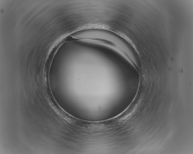 X0000072990981200608211511