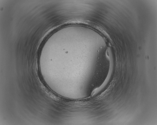 X0000072990984200608211511