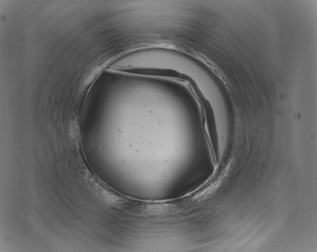 X0000072990985200608211511