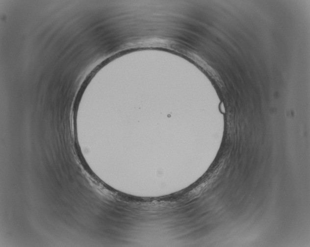 X0000072990988200608211511