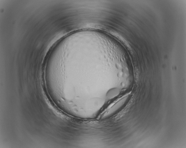 X0000072990991200608211511