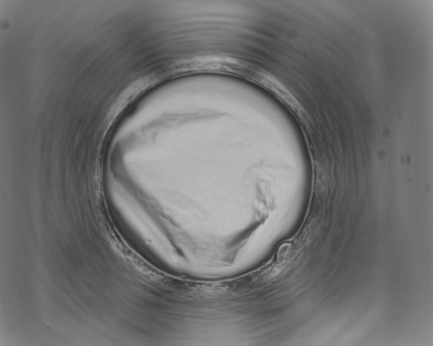 X0000072990994200608211511