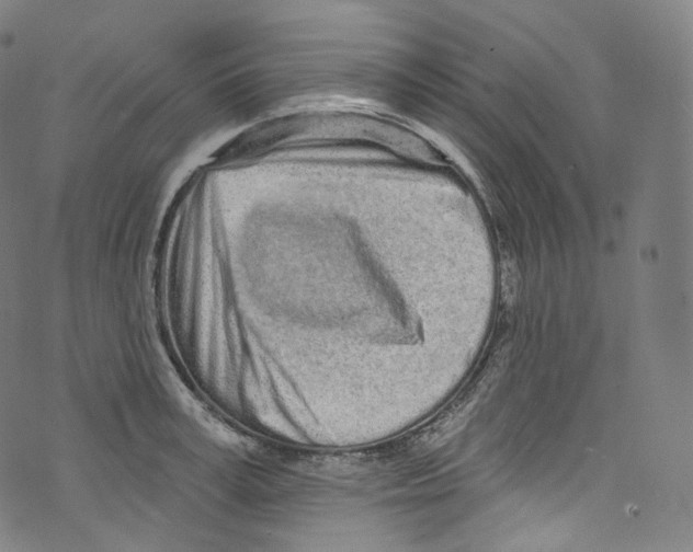 X0000072990995200608211511