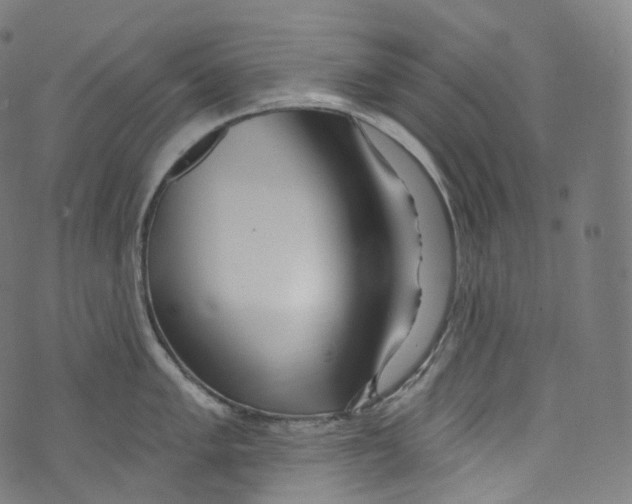 X0000072991005200608211511