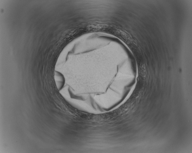 X0000072991009200608211510