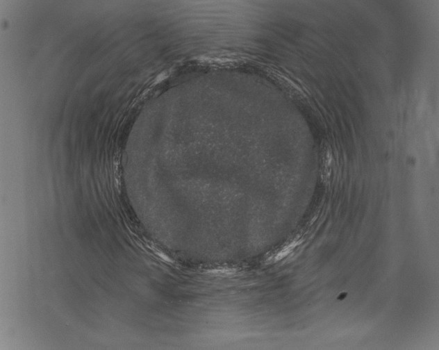 X0000072991010200608211510