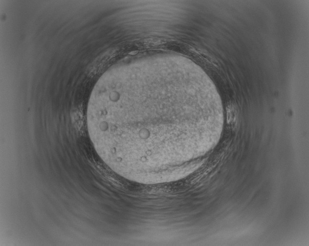 X0000072991011200608211510