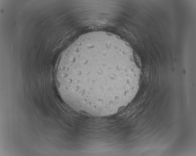 X0000072991012200608211510