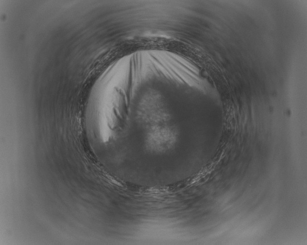 X0000072991013200608211510