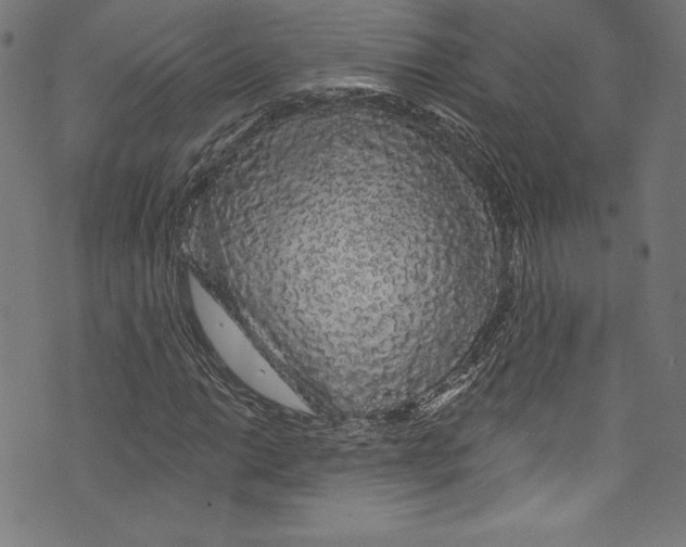 X0000072991014200608211510