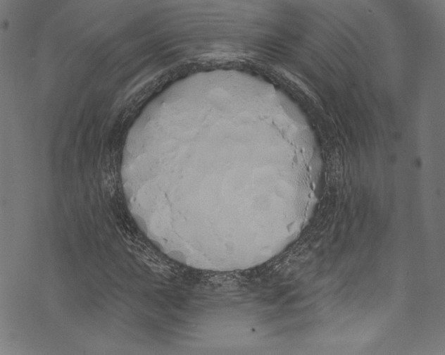 X0000072991015200608211510