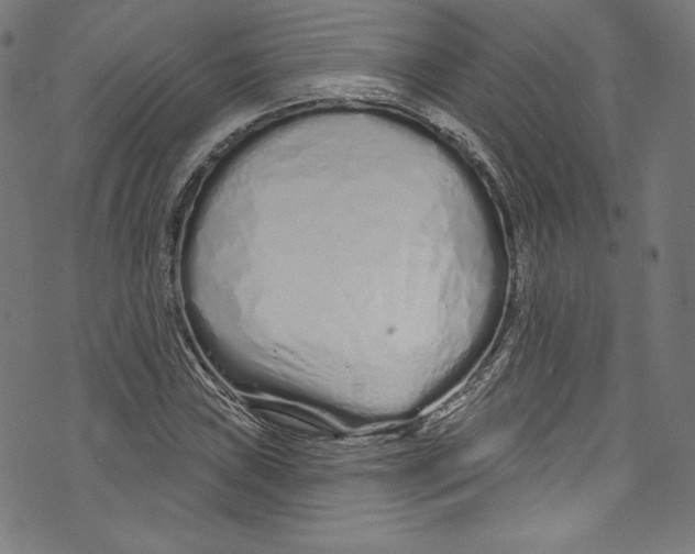 X0000072991019200608211510