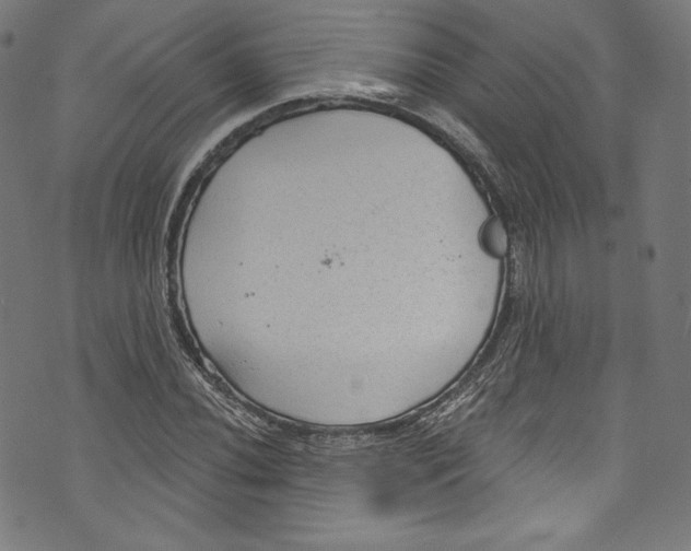 X0000072991020200608211510