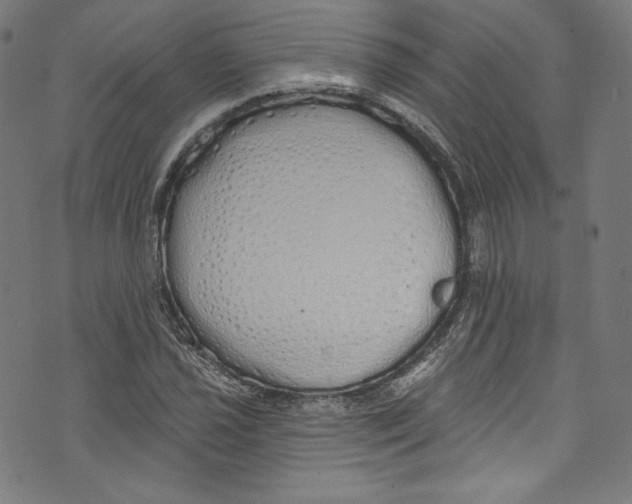 X0000072991021200608211510