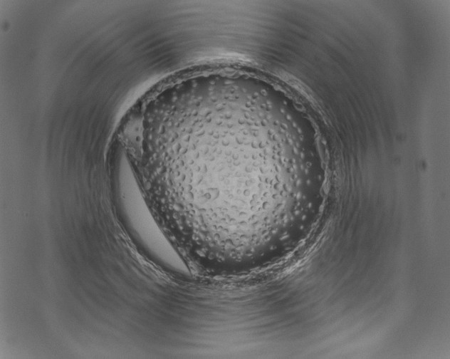 X0000072991022200608211510