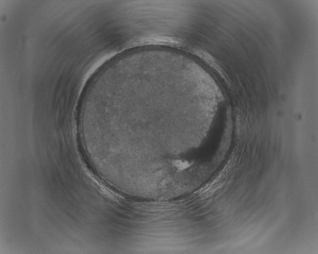 X0000072991024200608211510