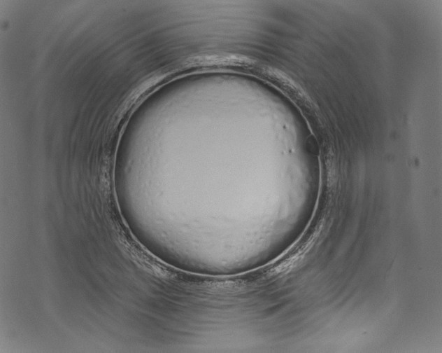 X0000072991025200608211510