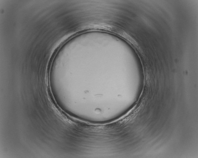 X0000072991028200608211510