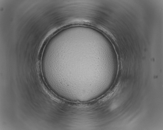 X0000072991029200608211510