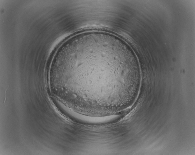 X0000072991030200608211510