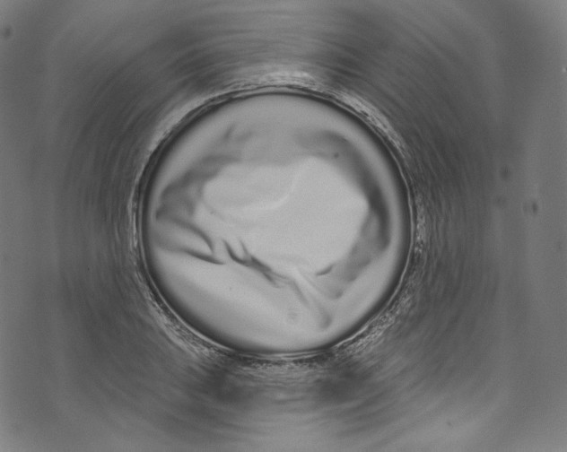 X0000072991031200608211510