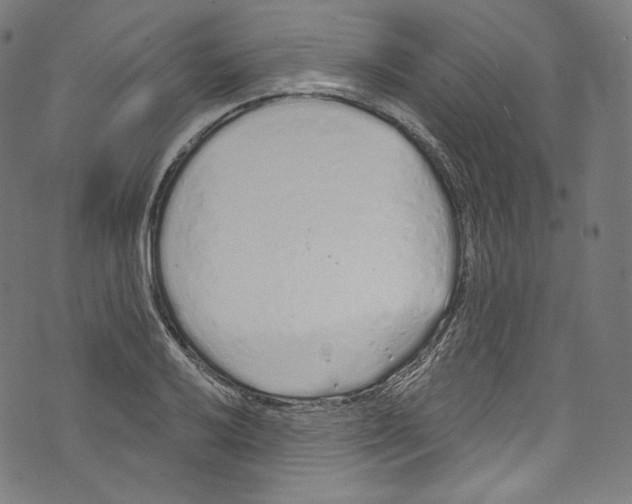 X0000072991032200608211510